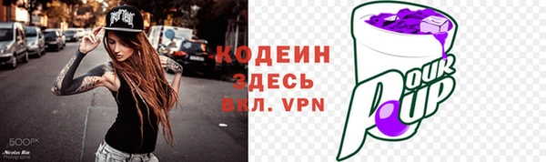 индика Анжеро-Судженск