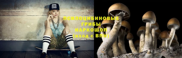 МДПВ Кукмор