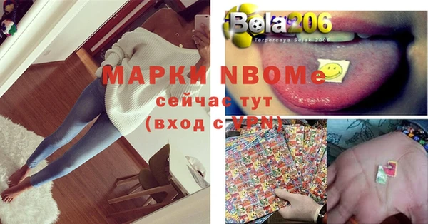 индика Анжеро-Судженск