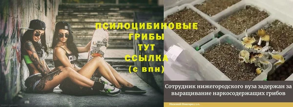 мдма Кулебаки