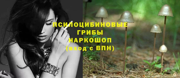 Альфа ПВП Куйбышев