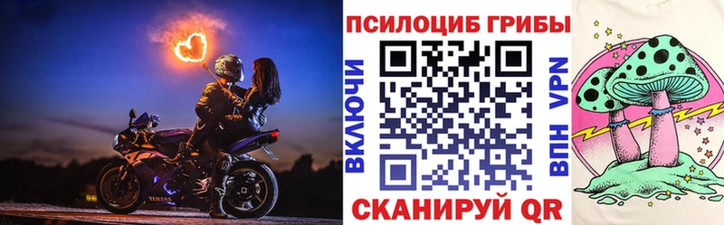 Псилоцибиновые грибы мицелий  Купить где  Краснозаводск 